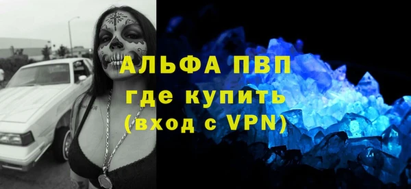 прущие грибы Навашино