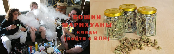 прущие грибы Навашино